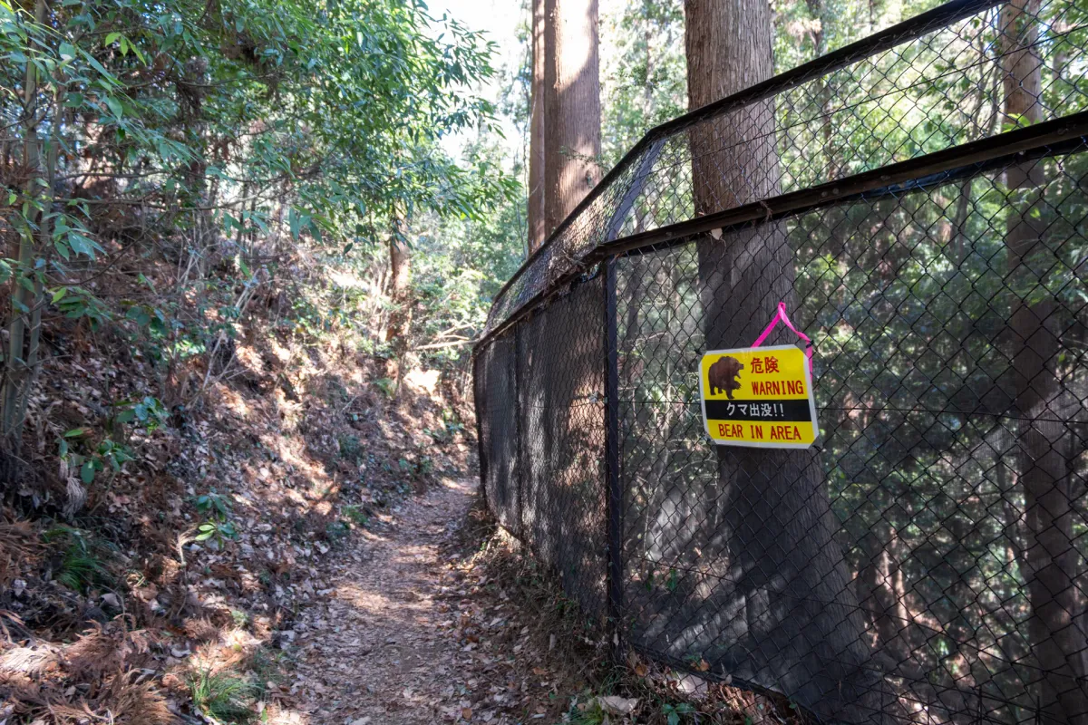 Should you be scared of bears when hiking in Japan?
