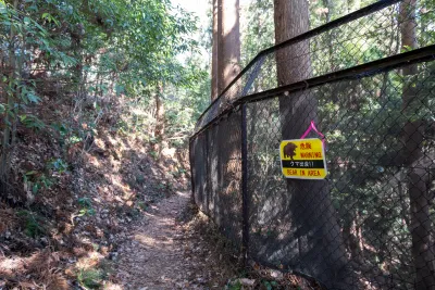 Should you be scared of bears when hiking in Japan?