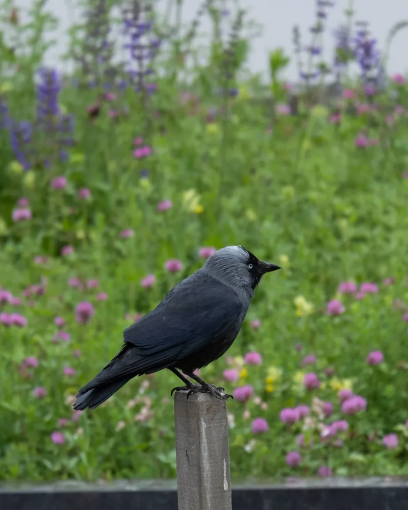 Lucerne, Switzerland
