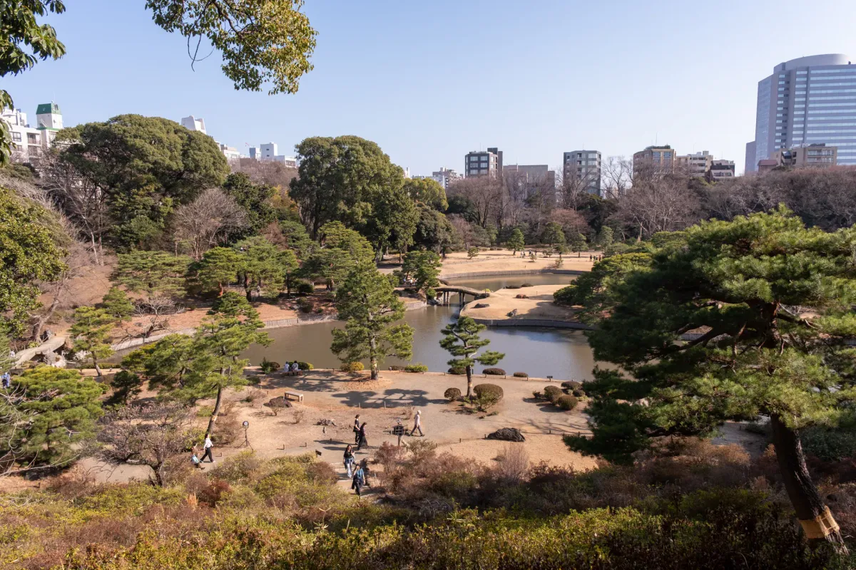 Birding at Rikugien Gardens