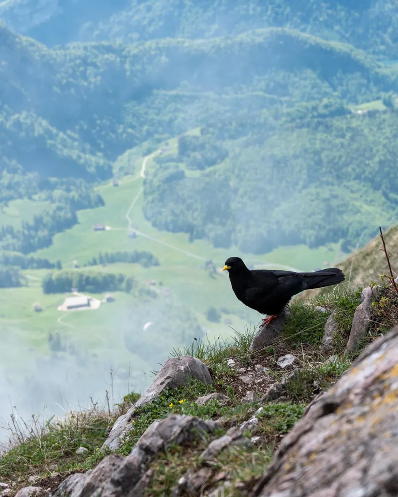 Grosser Mythen, Switzerland