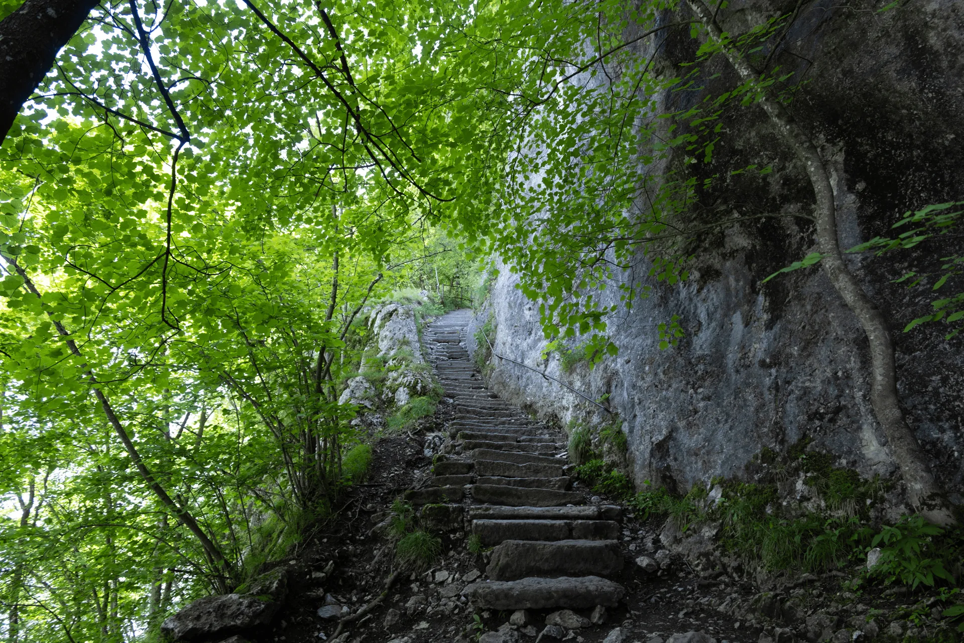"A rock staircase carved into a cliff face"