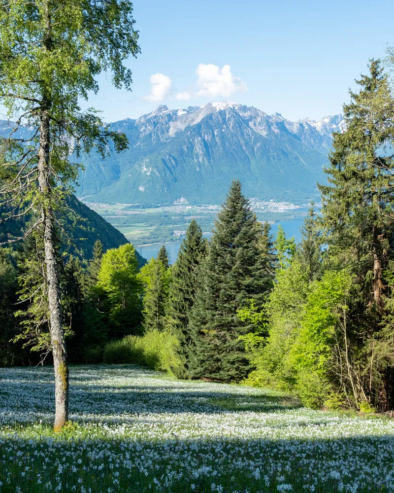 Rochers de Naye, Switzerland