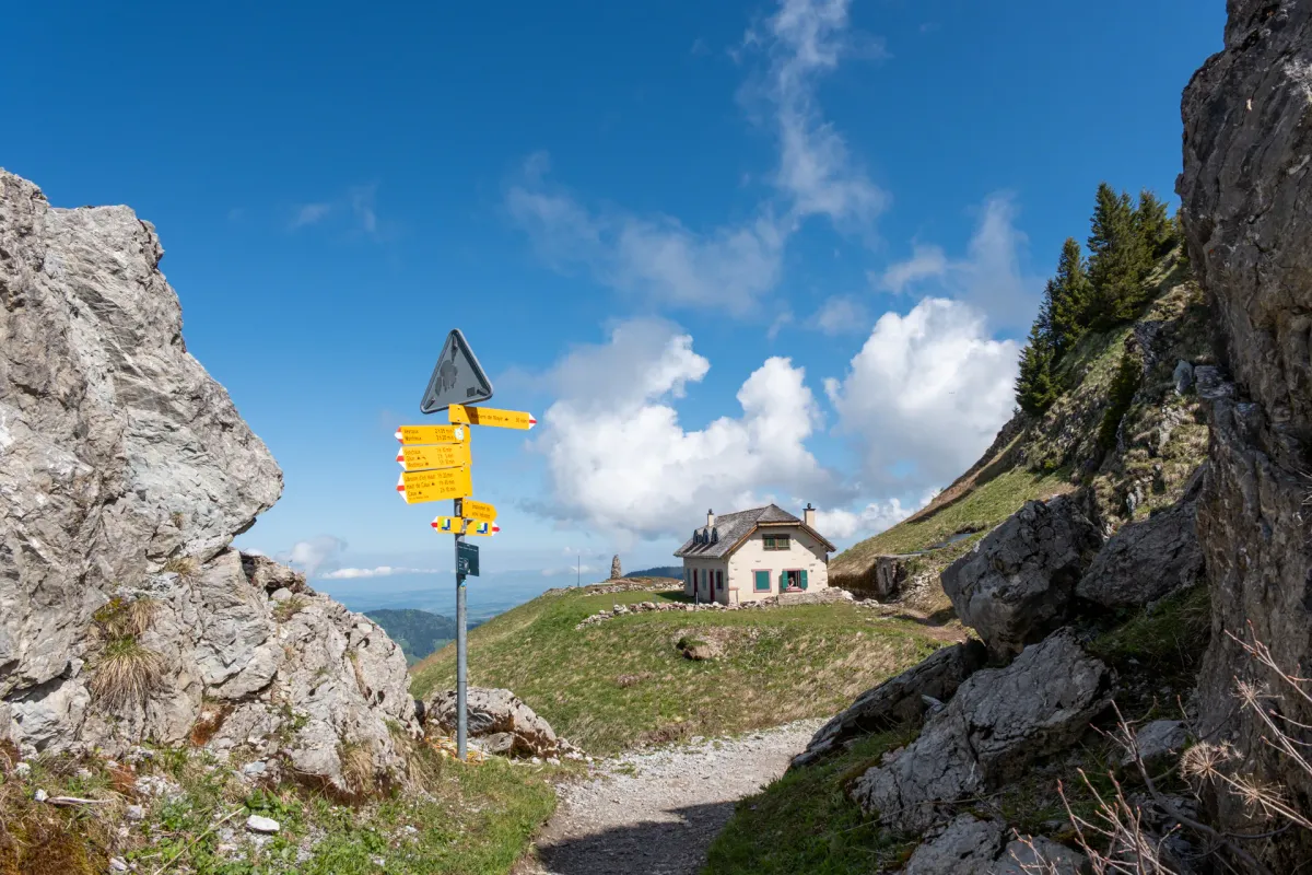 Montreux hike: Rochers de Naye