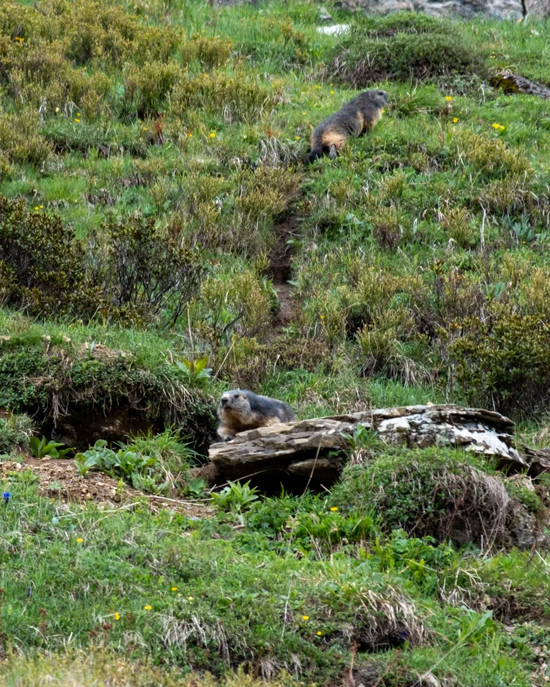 La Palette, Switzerland