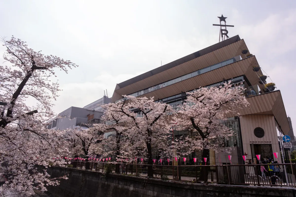 Starbucks Reserve Roastery Tokyo: Cherry Blossom edition