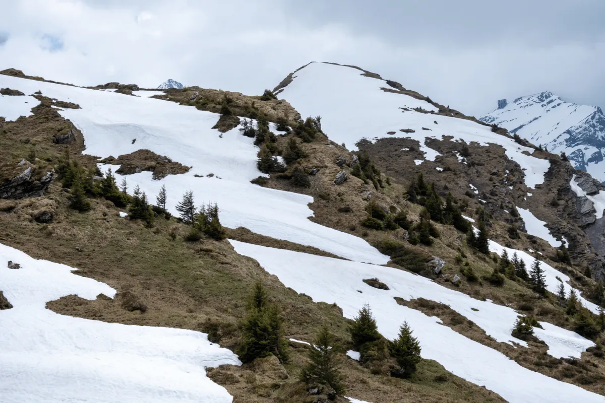 Les Diablerets hike: La Palette
