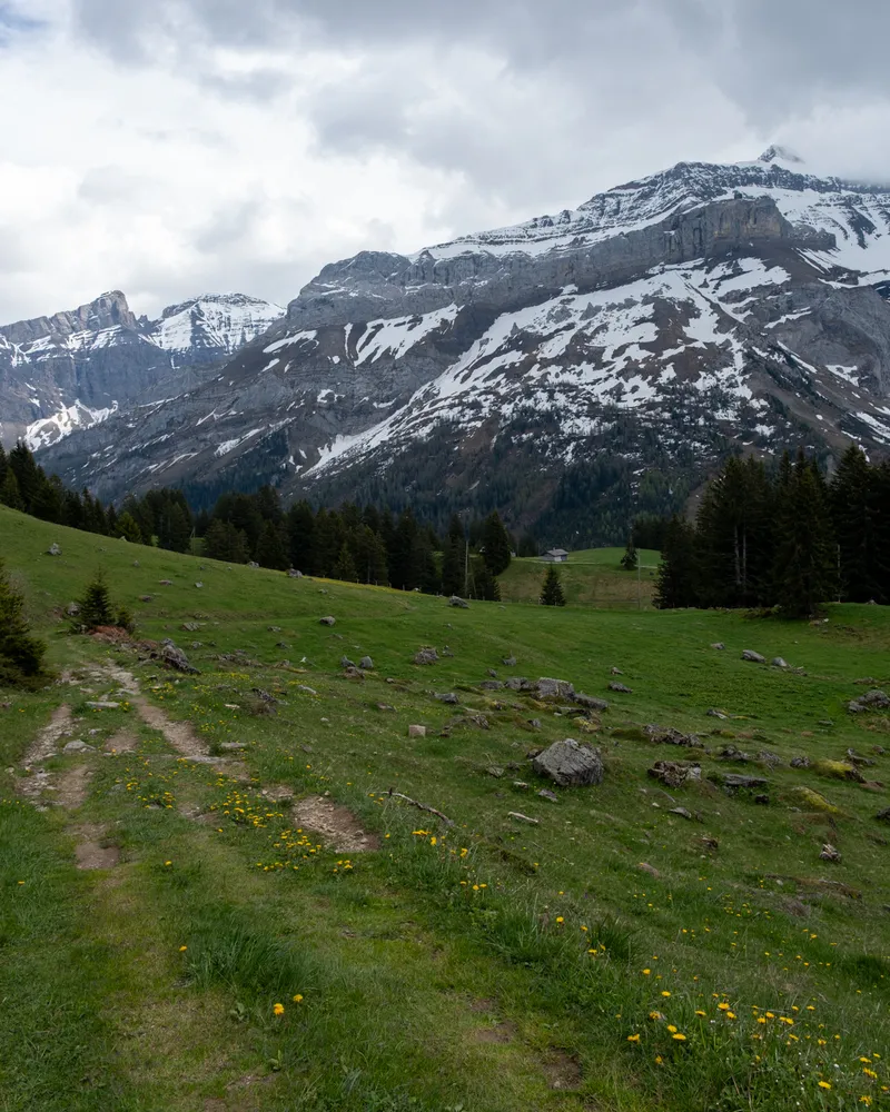 La Palette, Switzerland