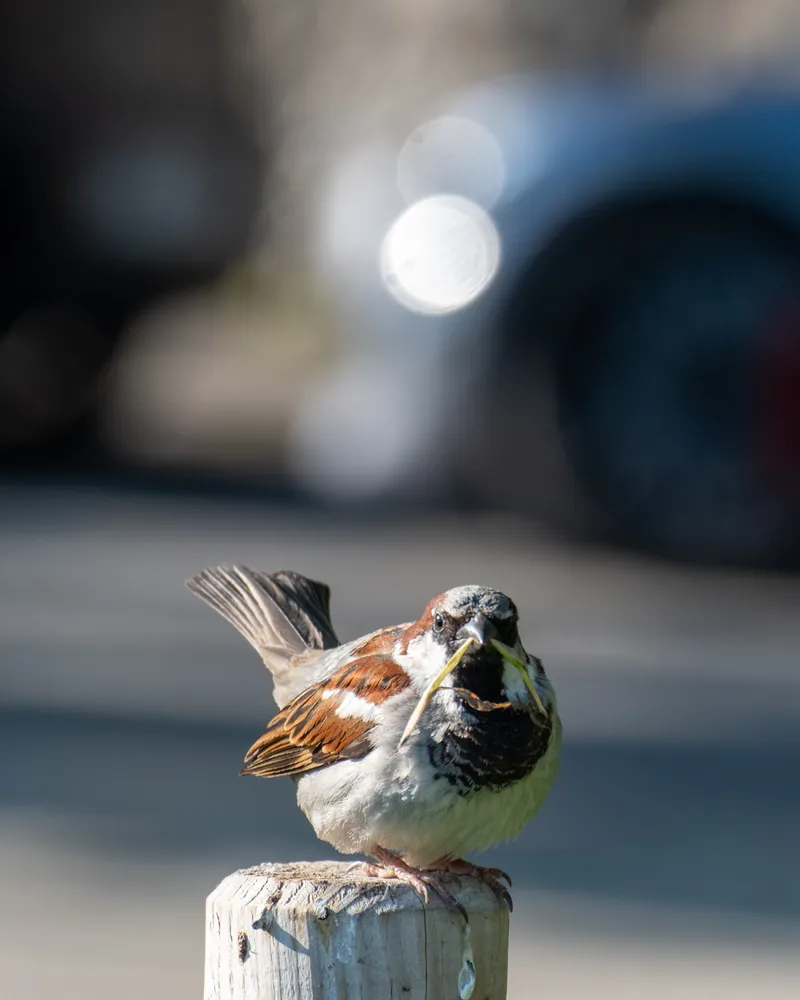 Montreux, Switzerland