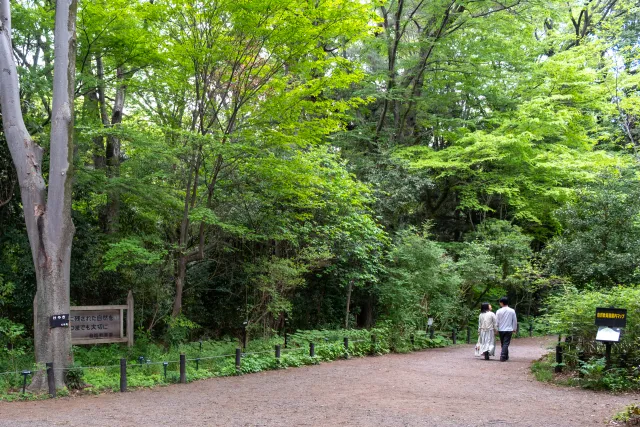 Institute for Nature Study, Meguro