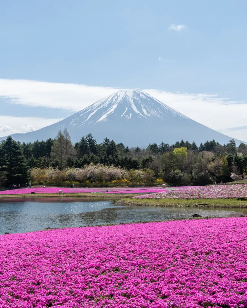 Mt Ryugatake