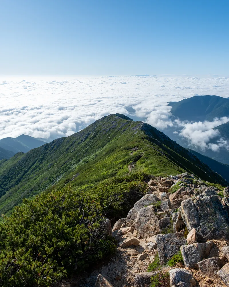 Mt Jonen