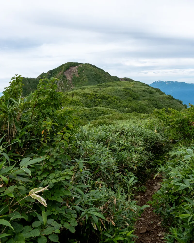 Mt Amakazari