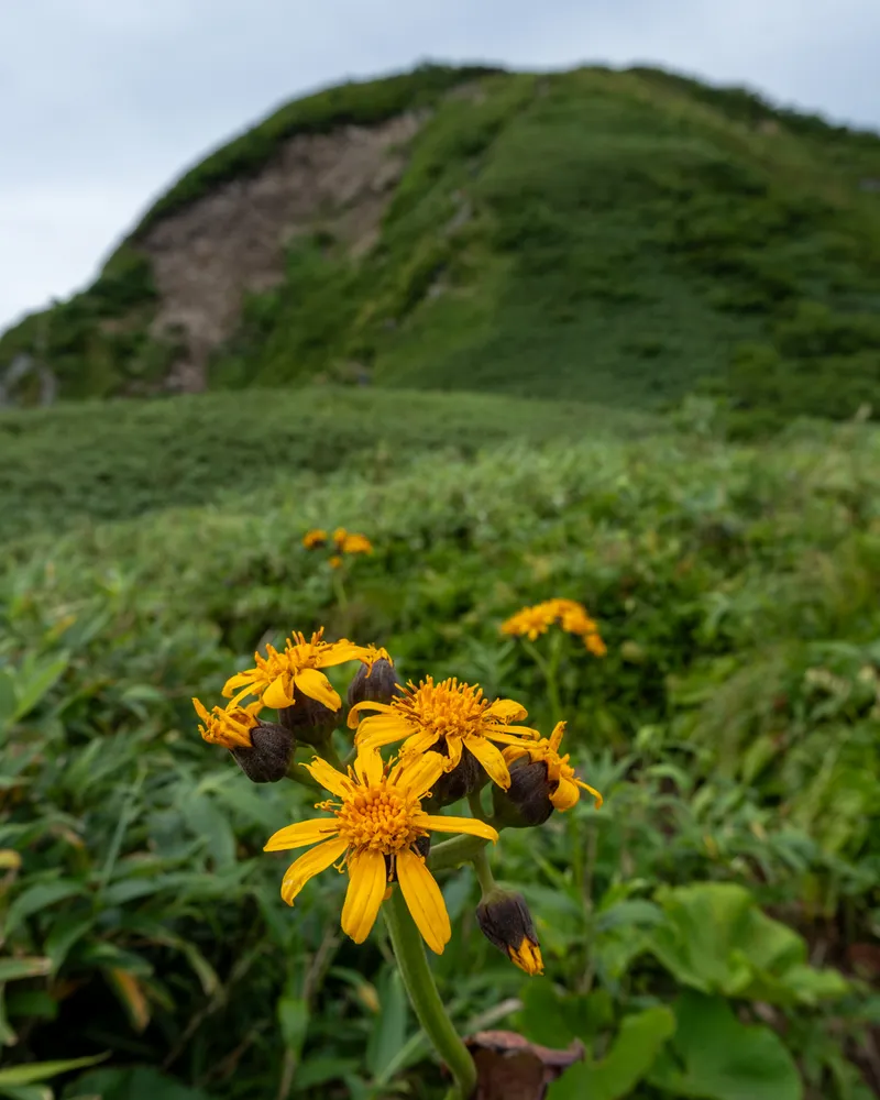 Mt Amakazari