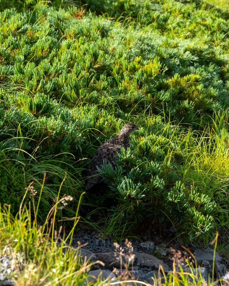 Mt Kurobegoro and Mt Yari - Day 2