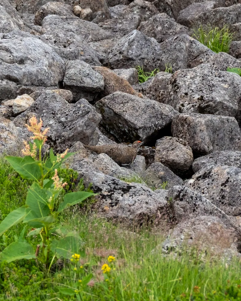 Mt Kurobegoro and Mt Yari - Day 2