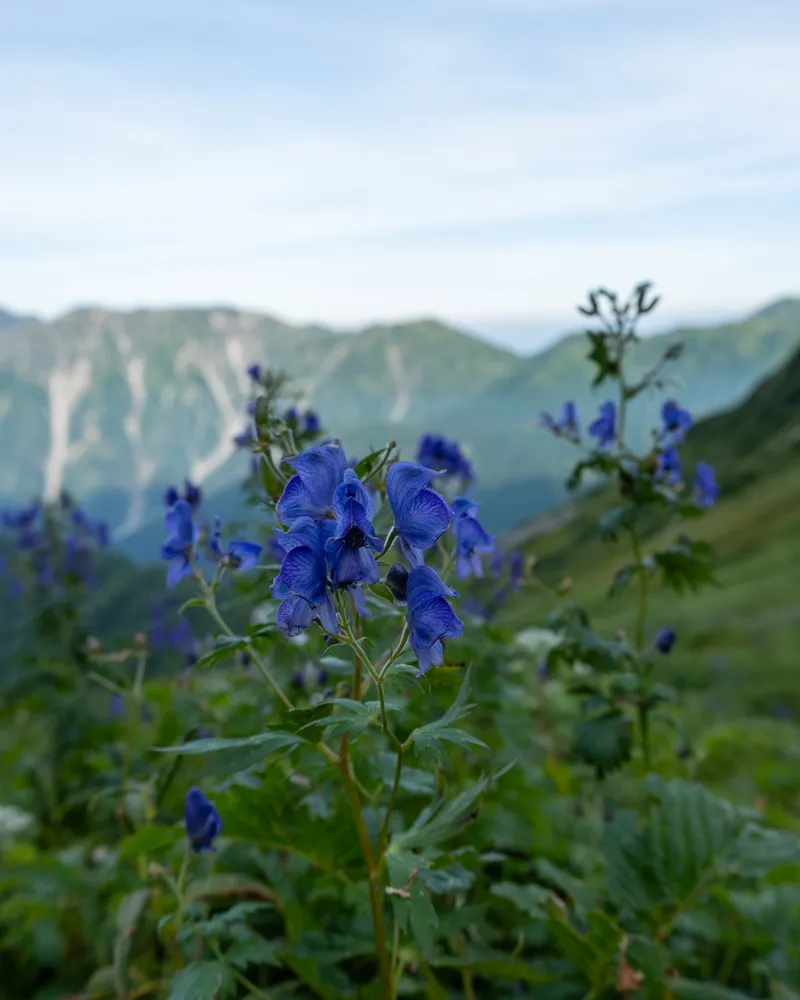 Mt Kurobegoro and Mt Yari - Day 3