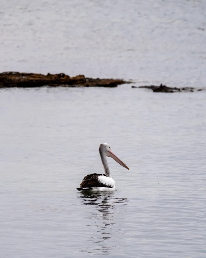 Black Rock Beach, Melbourne