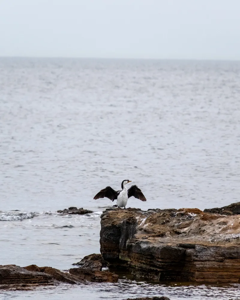 Black Rock Beach, Melbourne