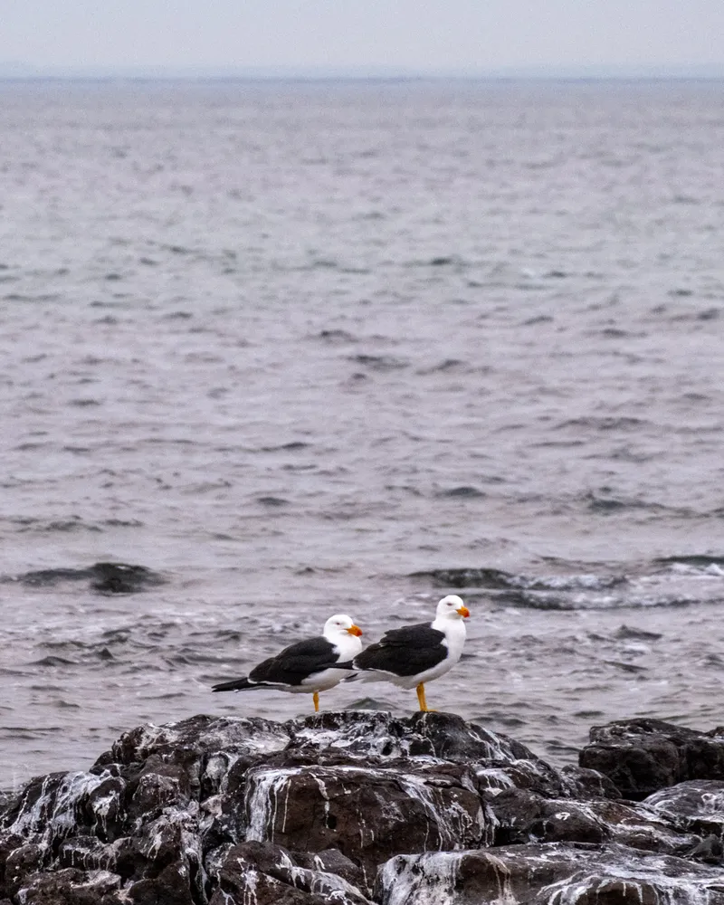 Black Rock Beach, Melbourne