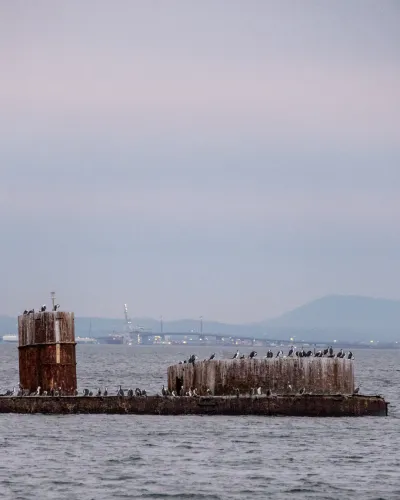 Black Rock Beach, Melbourne
