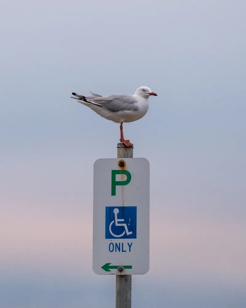 Black Rock Beach, Melbourne