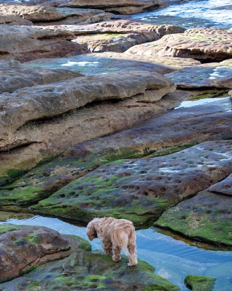 Manly Beach, Sydney