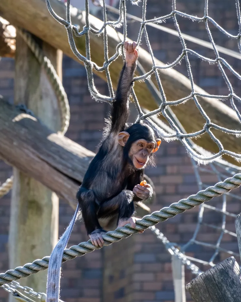Taronga Zoo, Sydney