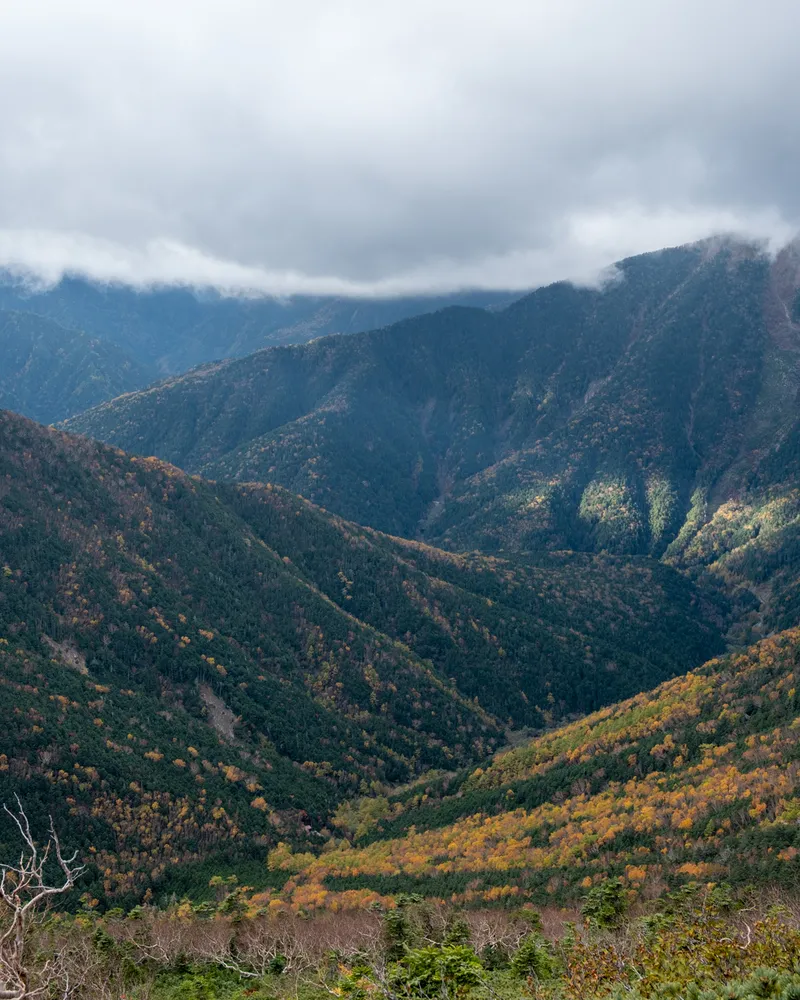 Mt Kaikoma