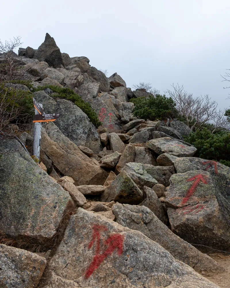 Mt Kaikoma