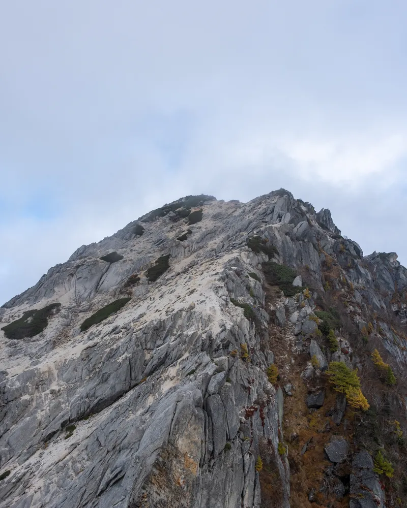 Mt Kaikoma