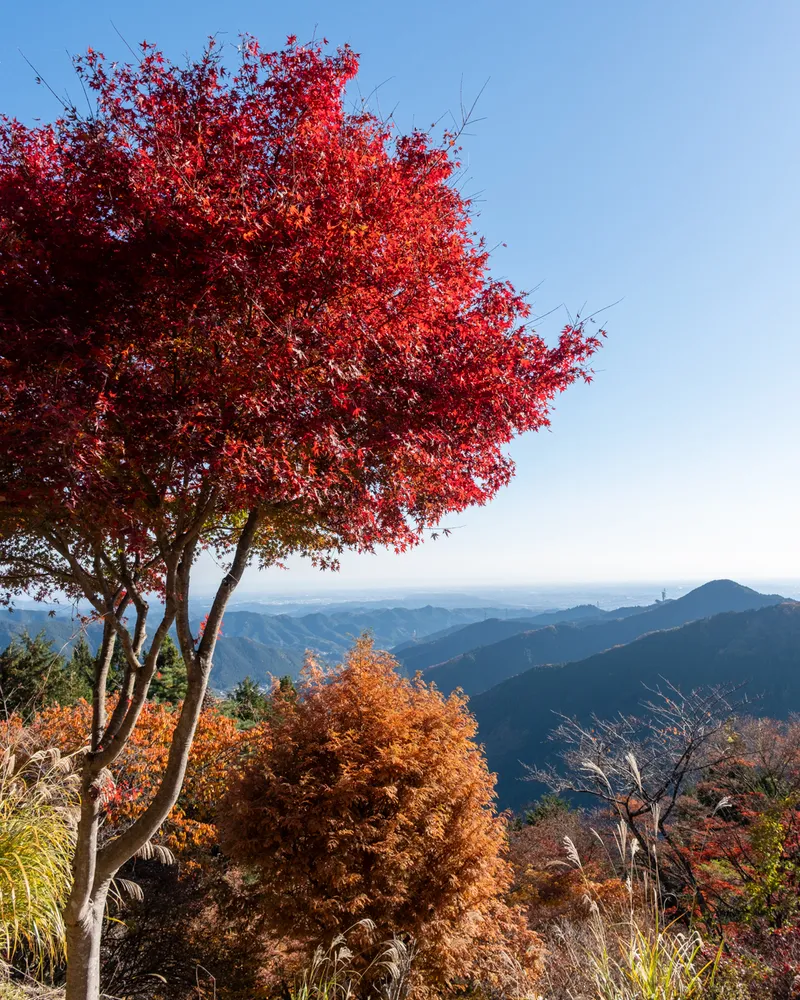 Mt Mitake and Mt Odake