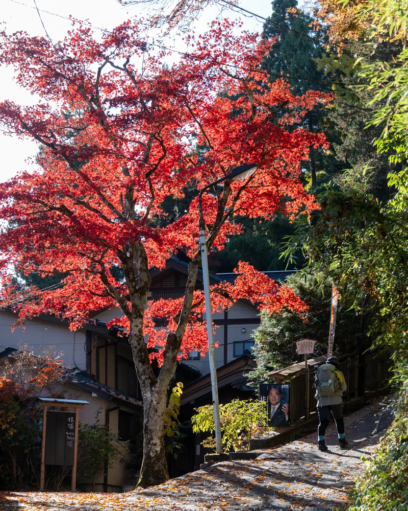 Mt Mitake and Mt Odake