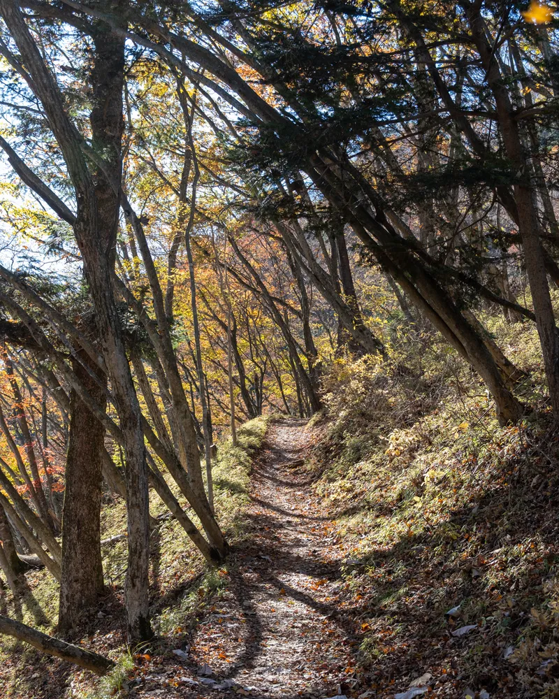 Mt Mitake and Mt Odake