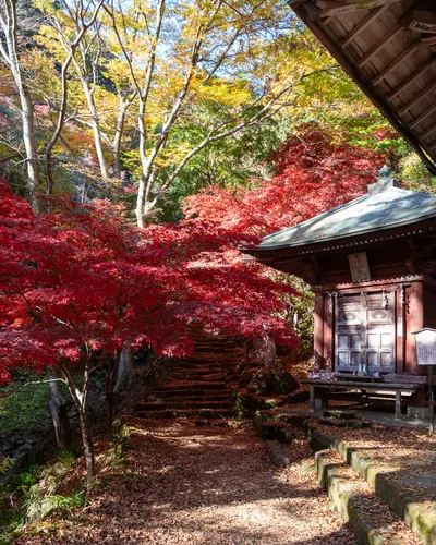 Mt Oyama