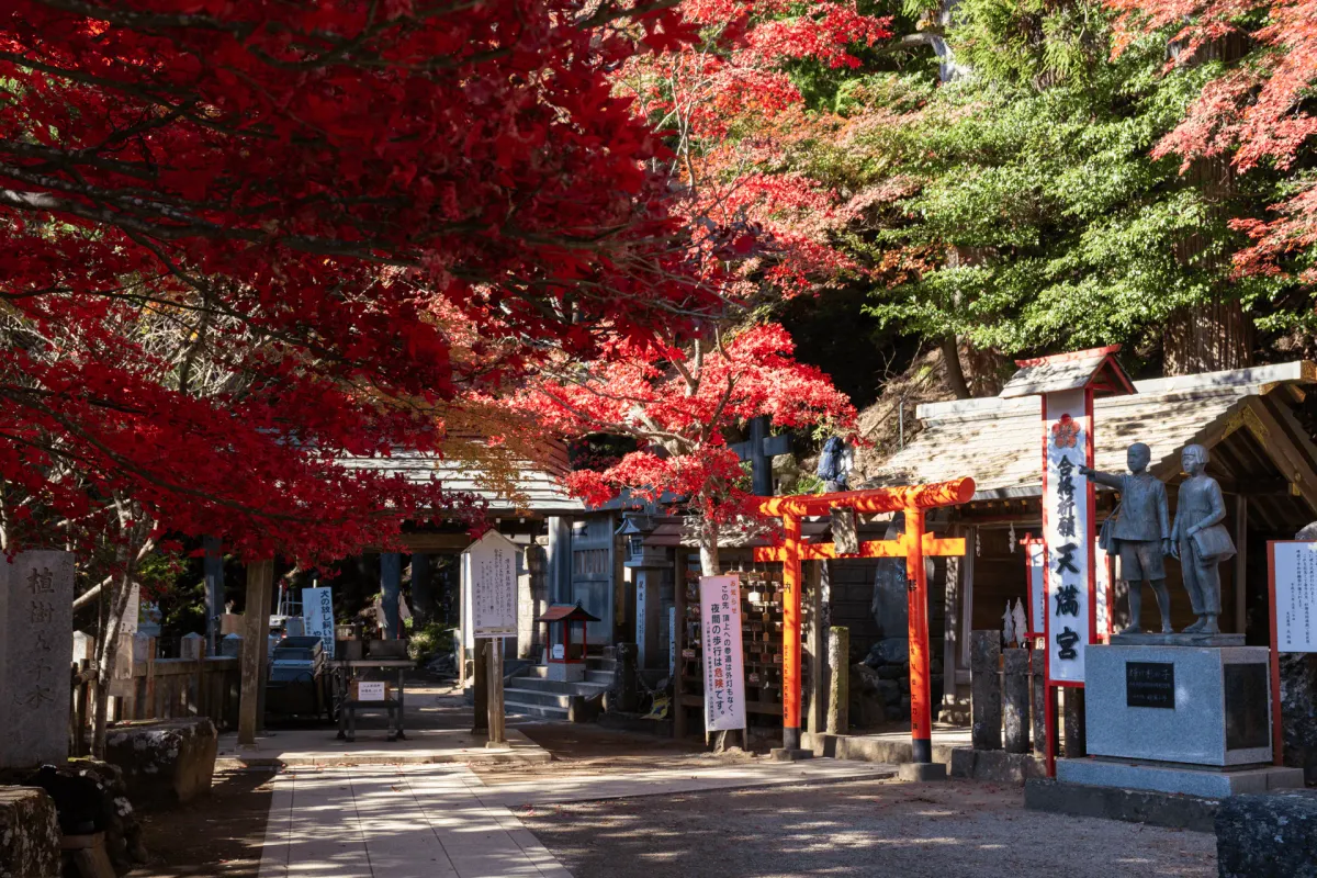 Mt Oyama: an easy day hike in Kanagawa
