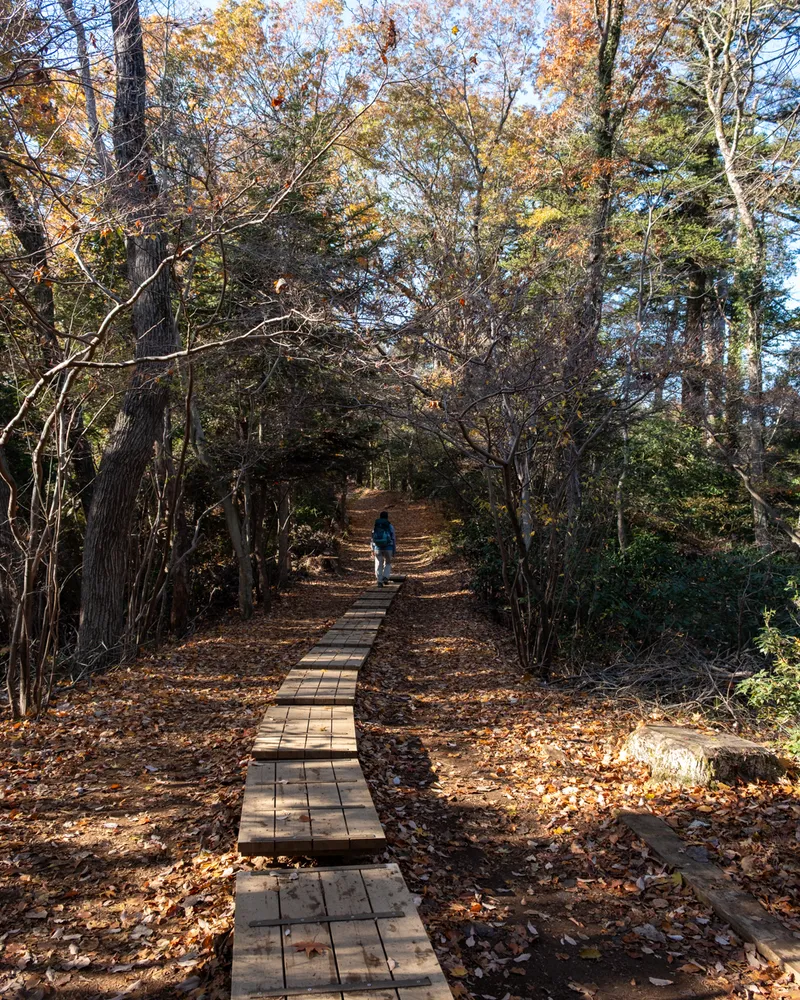 Mt Takao