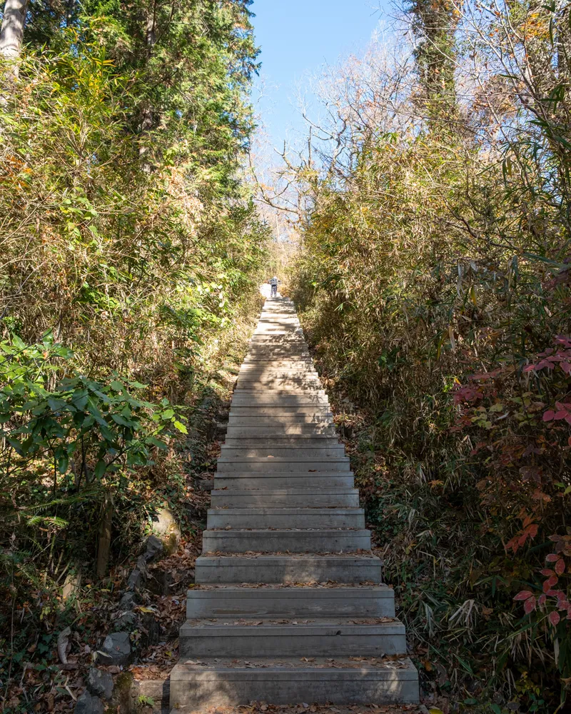 Mt Takao