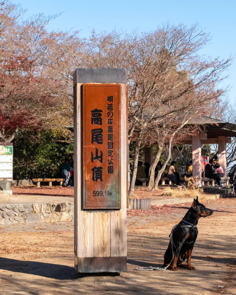 Mt Takao