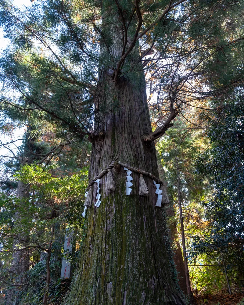 Mt Takao