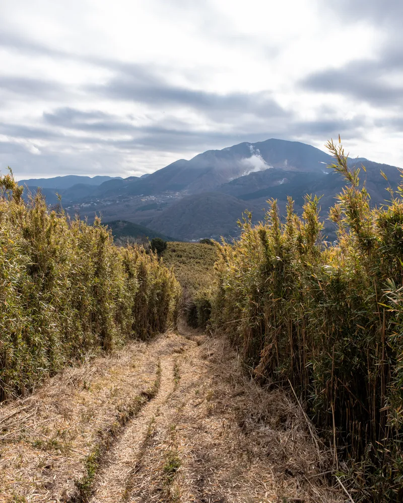 Mt Kintoki and Mt Myojingatake