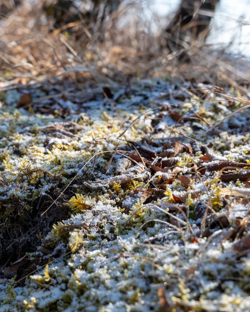 Mt Nabewari and Mt Tonodake (part 1)