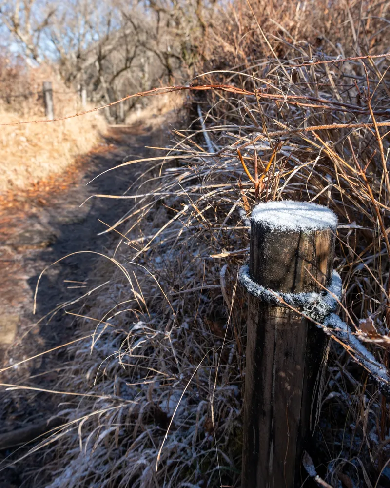 Mt Nabewari and Mt Tonodake (part 1)