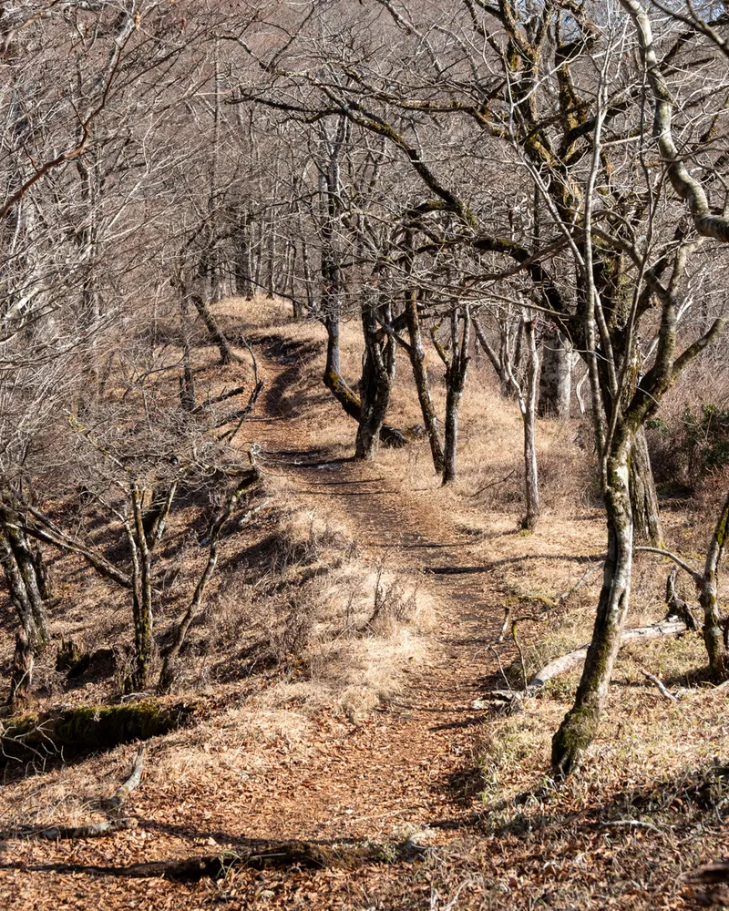 Mt Nabewari and Mt Tonodake (part 1)
