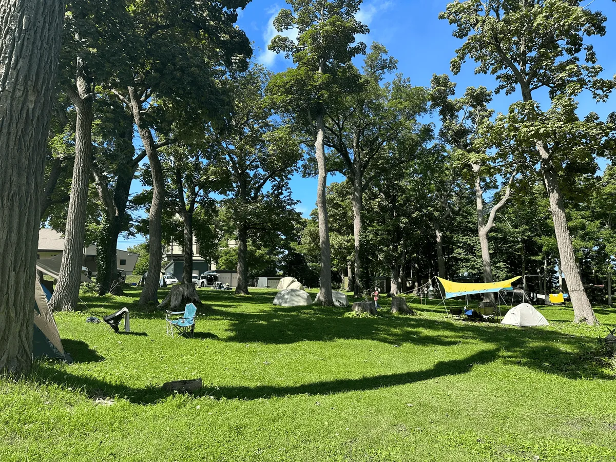 A sunnier version of the same campsite.