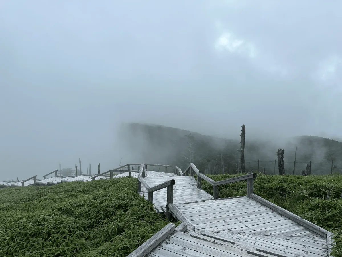 Mt Odaigahara: a beginner-friendly Nara hike