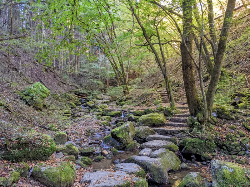 Mitake rock garden trail