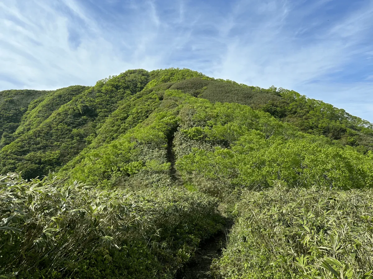 Mt Arashima hike