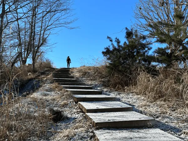 Winter hiking in Tokyo