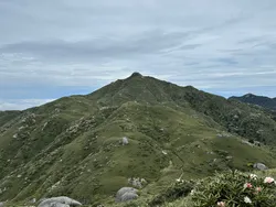 Mt Miyanoura and the Yakushima traverse: a 3-day hike to Kyushu's tallest mountain
